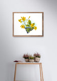 South Carolina State Flower | Flora & Fauna Art Print