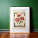 Ranunculus Revival — Charleston Botanical Art Print