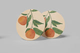 Sweet Citrus Stem Coaster — Charleston Botanical