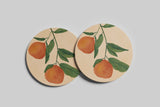 Sweet Citrus Stem Coaster — Charleston Botanical