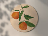 Sweet Citrus Stem Coaster — Charleston Botanical