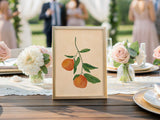 Sweet Citrus Stem — Charleston Botanical Art Print
