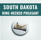 South Dakota State Bird | Flora & Fauna Coaster Set
