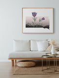 South Dakota State Flower | Flora & Fauna Art Print