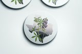 Texas State Flower | Flora & Fauna Coaster Set