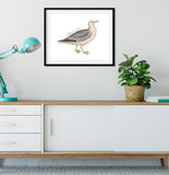 Utah State Bird | Flora & Fauna Art Print