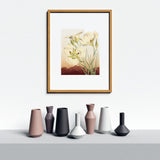 Utah State Flower | Flora & Fauna Art Print
