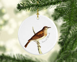 Vermont State Bird | Flora & Fauna Ornament