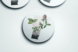 Vermont State Flower | Flora & Fauna Coaster Set
