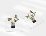 Vermont State Flower | Flora & Fauna Art Print