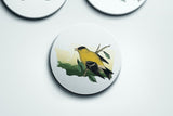 Washington State Bird | Flora & Fauna Coaster Set