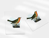 Wisconsin State Bird | Flora & Fauna Coaster Set