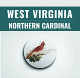 West Virginia State Bird | Flora & Fauna Coaster Set