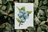 a card with some blue berries on it