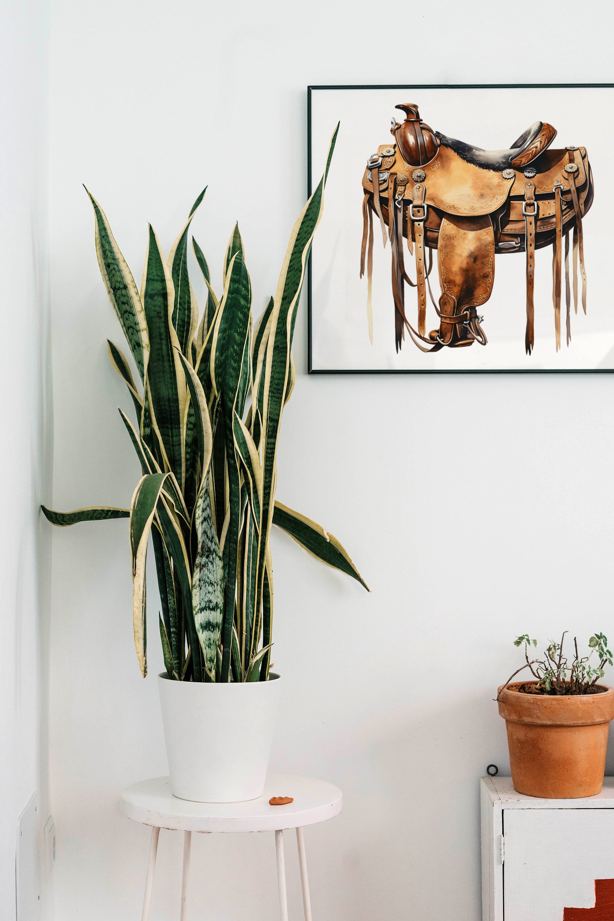 a potted plant sitting next to a picture of a horse