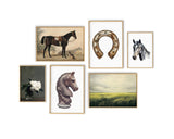 a set of four framed pictures of horses