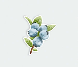 a sticker of blueberries with leaves on a white background