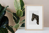 a picture of a horse in a frame next to a plant