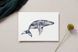 a card with a picture of a whale on it