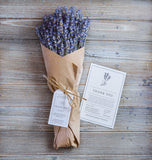 Dried Lavender Bundle – Lavender Gift for Her, Hand Wrapped California Lavender Bouquet