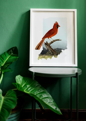 Northern Cardinal Art Print | Indiana State Bird Decor | Indianapolis Wall Art | Unique IN Gifts & Home Decor