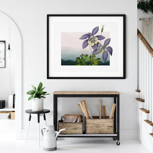 Colorado gifts, Colorado wall art, Colorado flower art print, botanical print, Colorado state flower, Colorado framed art, unique Colorado