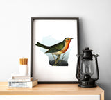 Robin Bird Gifts | Wisconsin State Print, Milwaukee & Madison Decor, Unique Bird Art, Beautiful State Birds Poster