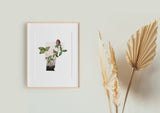 Vermont State Flower Print - Red Clover Blossoms Art, Burlington Vermont Decor, New England Bedroom Wall Art