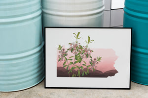 Pennsylvania art print, Pennsylvania gifts, Pennsylvania mountain laurel wall art, PA gifts, Philadelphia PA, Pittsburgh PA, Bethlehem pa