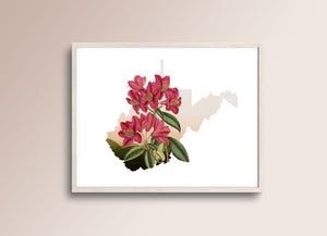 West Virginia wall art, West Virginia gifts, framed West Virginia art, botanical print, state flower print, WV home decor,West Virginia home