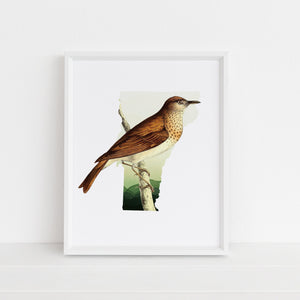 Vermont State Bird Print | Hermit Thrush Wall Art & VT Decor | Unique Gift for Bird Lovers | Framed Vermont Home Decor