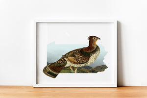 Pennsylvania State Bird Ruffed Grouse Wall Art | Birdwatcher Gift & Home Decor Print for Bird Lovers