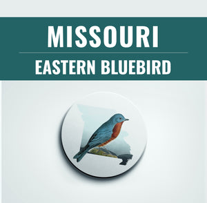 Missouri state bird coaster set, Missouri gifts, Missouri home decor, bird lover gifts, bluebird coasters, set of coasters