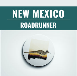 New Mexico Gifts: State Bird Coaster Set, Bird Lover Gift, Home Decor, Bar Accessories, Unique New Mexico Coasters