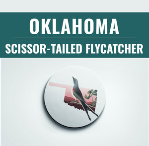 Oklahoma state bird coaster set, Oklahoma gifts, Oklahoma home decor, bird lover gift, Oklahoma coasters, bird coasters, set of coasters