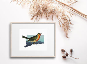 Connecticut State Bird Wall Art - Robin Print, Connecticut Home Decor, Gift for Bird Lover, Nature Poster