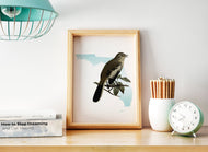 Florida state bird art, Florida Mockingbird art print, state bird decor, gift for birdwatcher, Florida home decor, ornithology gift