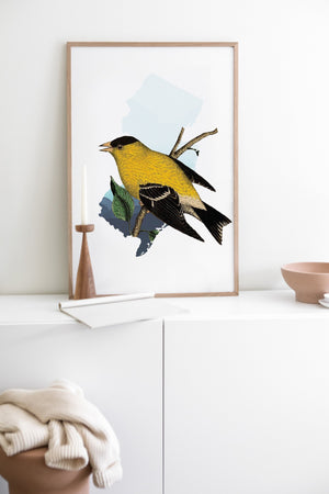 New Jersey State Art | Goldfinch Bird Art Print, Framed Wall Decor, Unique Gift for Bird Lovers, Home Decor Idea