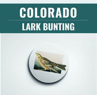 Colorado state bird coaster set, set of coasters, bird lover gift, bird decor, Colorado home decor, Colorado housewarming gifts, Denver gift