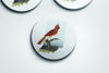 Indiana home decor, Indiana state bird coaster set, set of coasters for Indiana home, Indiana gifts, birdwatcher gifts, Indiana realtor gift