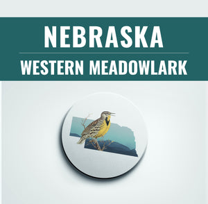 Nebraska state bird coaster set, Lincoln Nebraska gifts, Omaha Nebraska home decor, bird lover gifts, bird coasters, set of coasters