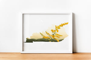 Kentucky State Flower Goldenrod Wall Art - Vibrant and Versatile - Framed or Unframed - Various Sizes and Frame Colors