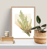 Nevada State Wall Art: Botanical Print, Desert Home Decor, State Flower Prints, Nevada Gifts for Nature Lovers