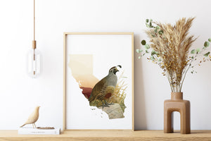 California Quail Wall Art - Beautiful State Bird Poster & Decor, Perfect California Christmas Gifts for Bird Lovers