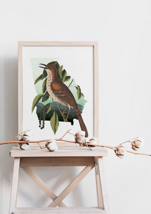 Georgia Brown Thrasher bird wall art, brown thrasher art, gift for bird lover, Georgia house decor, Georgia state bird decor, bird art