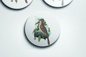 Brown Thrasher Coaster Set | Georgia Gifts & Home Decor | Bird Lover Gift | Unique Bird Coasters | Set of 4 Coasters