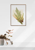 Nevada State Wall Art: Botanical Print, Desert Home Decor, State Flower Prints, Nevada Gifts for Nature Lovers