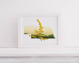 Nebraska State Wall Art - Botanical Print of Wildflowers, Nature Lover Decor, Home Gift & State Flower Artwork