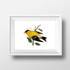 American Goldfinch Wall Art - Carduelis tristis Iowa State Bird Decor, Bird Home Decor & Ornithology Gifts