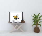 American Goldfinch Wall Art - Carduelis tristis Iowa State Bird Decor, Bird Home Decor & Ornithology Gifts